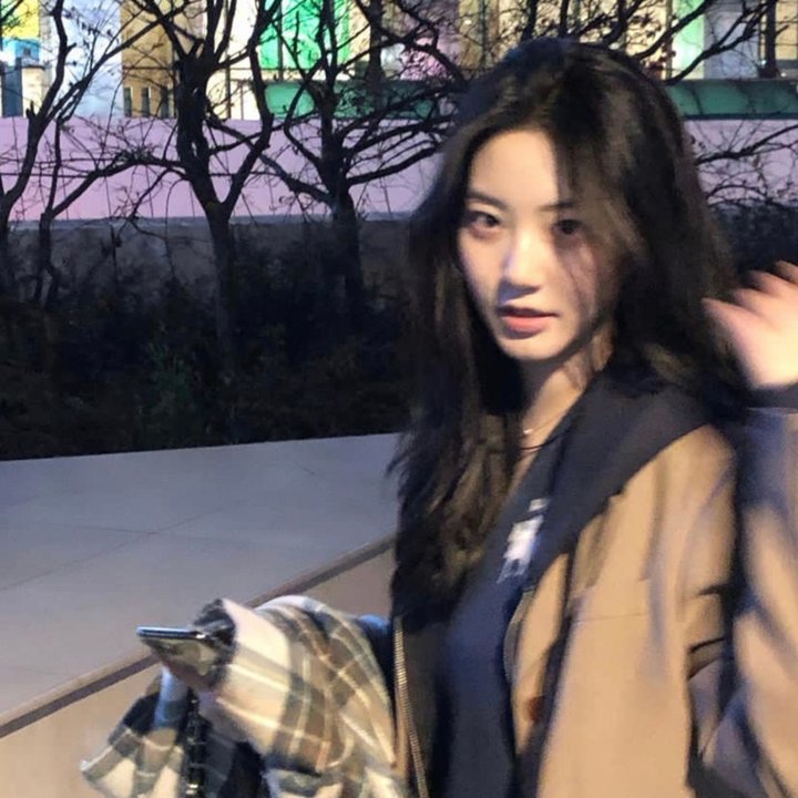 鸽战总动员